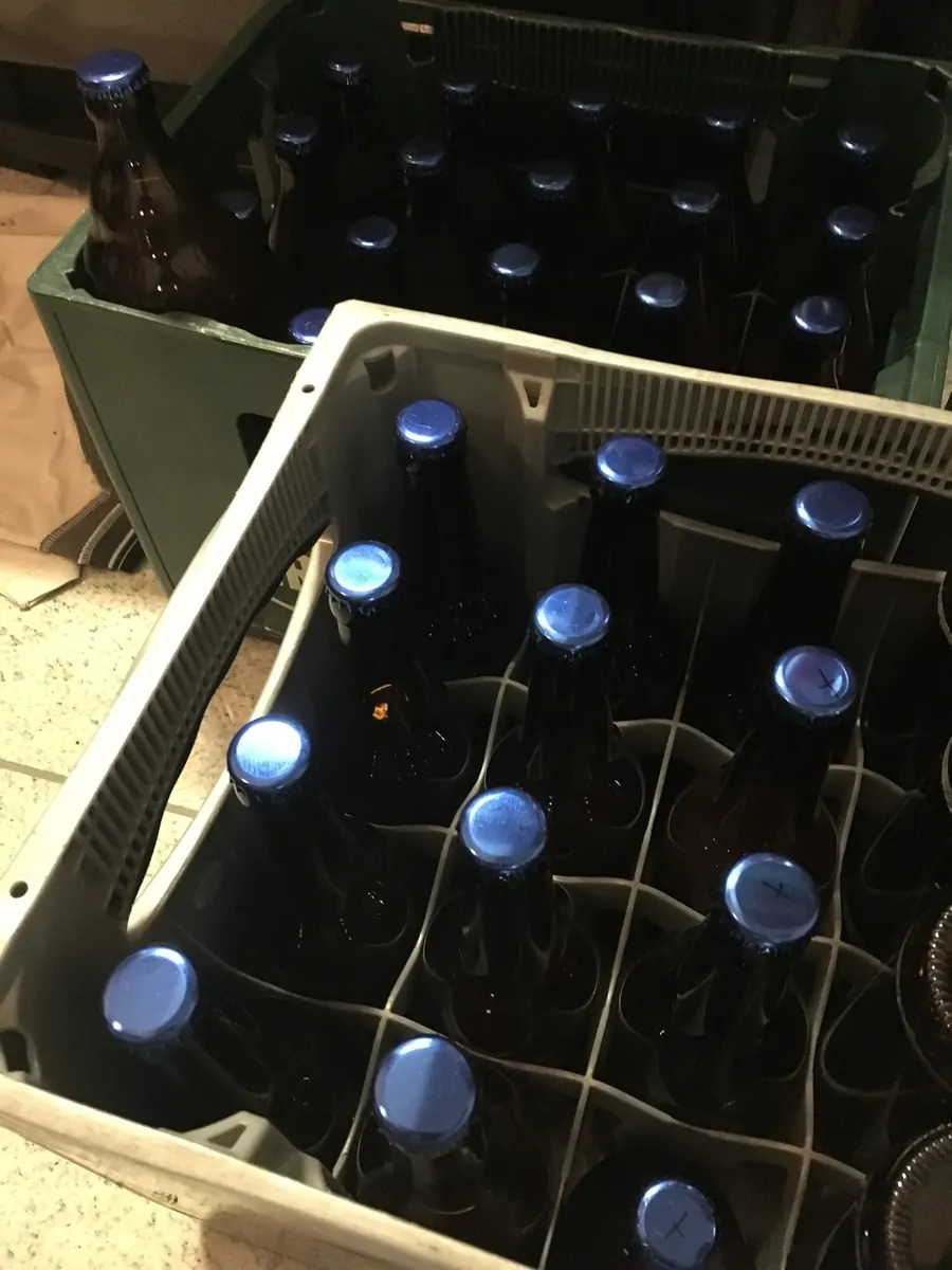 Kiste mit frisch verschlossenen Bierflaschen