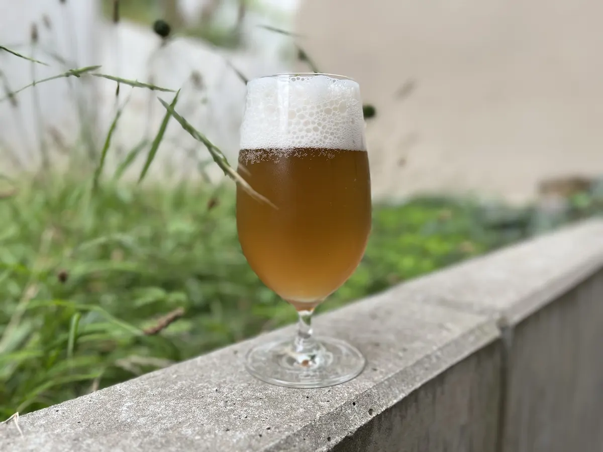 Gefülltes Bierglas auf einer Mauer im Grünen