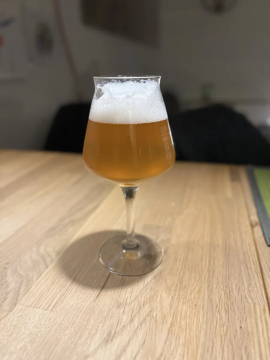 Helles Bier mit Schaumkrone im Tulpenglas