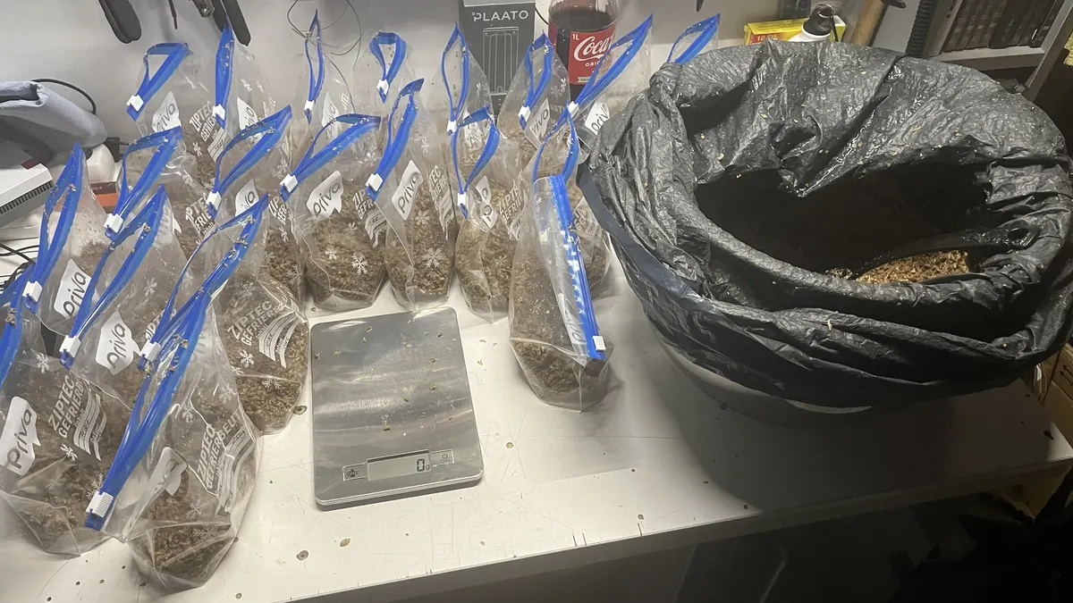 Portionierter Treber in beschrifteten Gefrierbeuteln